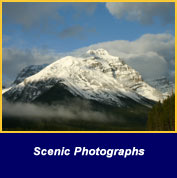 Scenic Photographs